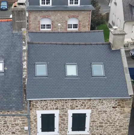 démoussage de toiture à Saint-Jouan-des-Guérets - image 2